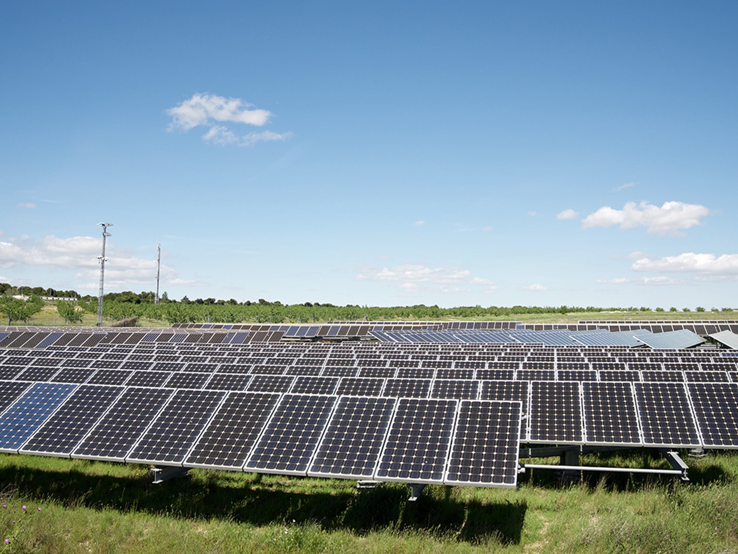 parque-paneles-solares-energia-solar-industrial